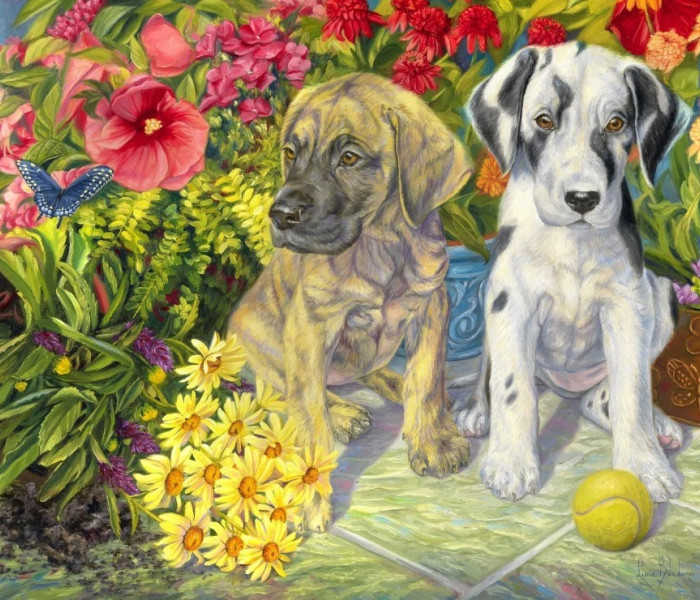 Puzzle - Bluebird - Két huncut ember