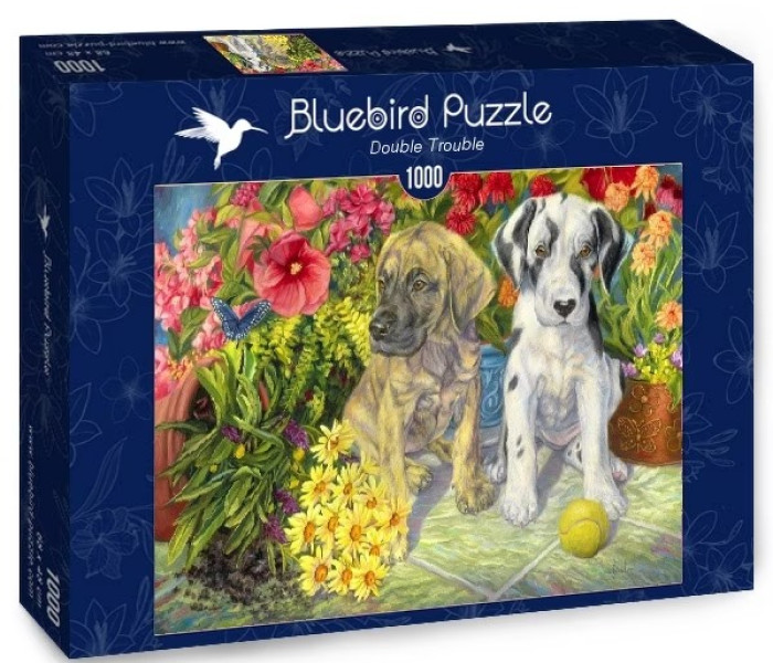 Puzzle - Bluebird - Két huncut ember