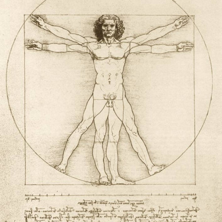 Vitruvius-tanulmány, 1490