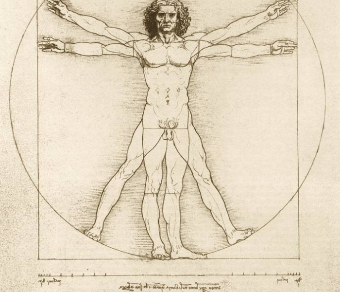 Puzzle - Bluebird - Vitruvius-tanulmány, 1490
