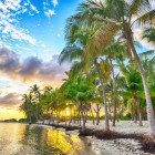 Puzzle - Bluebird - Guadeloupe - Anse Champagne strand