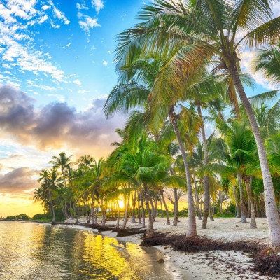 Guadeloupe - Anse Champagne strand