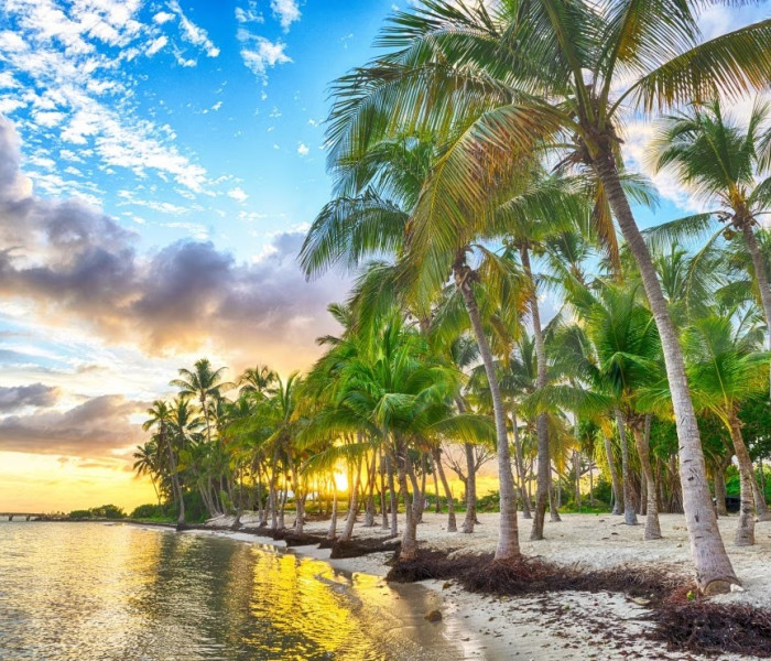 Puzzle - Bluebird - Guadeloupe - Anse Champagne strand
