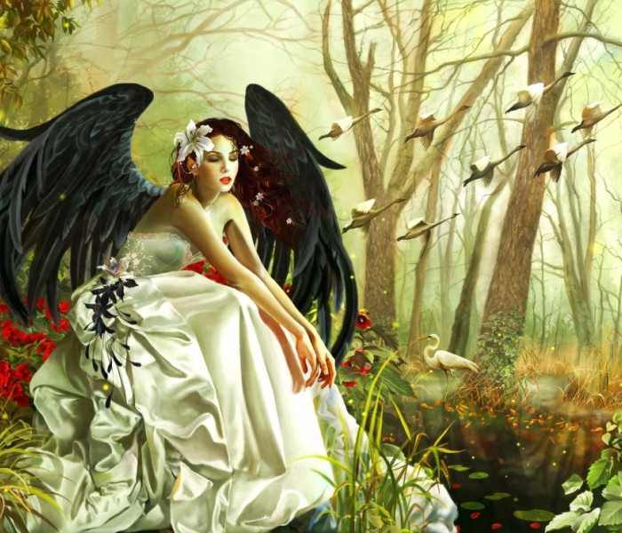 Puzzle - Bluebird - Hattyúdal