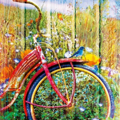 Kékmadarak biciklin