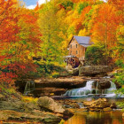 Puzzle - Castorland - Varázslatos ősz