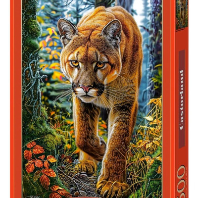 Hegyi Oroszlán Az Erdőben