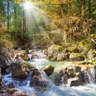 Puzzle - Castorland - Az erdei patak