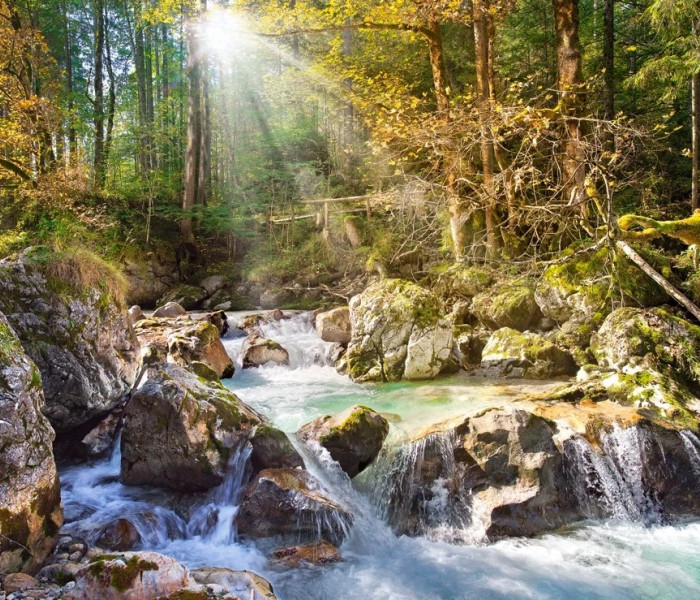 Puzzle - Castorland - Az erdei patak