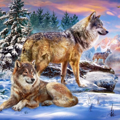 Wolfish Wonderland
