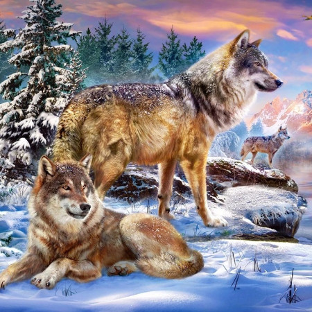 Wolfish Wonderland