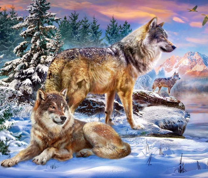 Puzzle - Castorland - Wolfish Wonderland