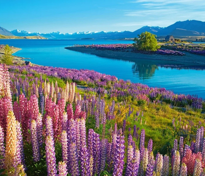 Puzzle - Castorland - Tekapo-tó, Új-Zéland