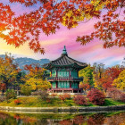 Puzzle - Castorland - Gyeongbokgung palota, Szöul, Dél-Korea