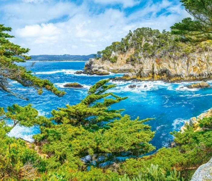 Puzzle - Castorland - Kaliforniai tengerpart