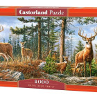 Puzzle - Castorland - Királyi Szarvas család
