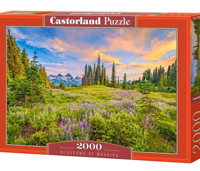 Puzzle - Castorland - A reggel virágai