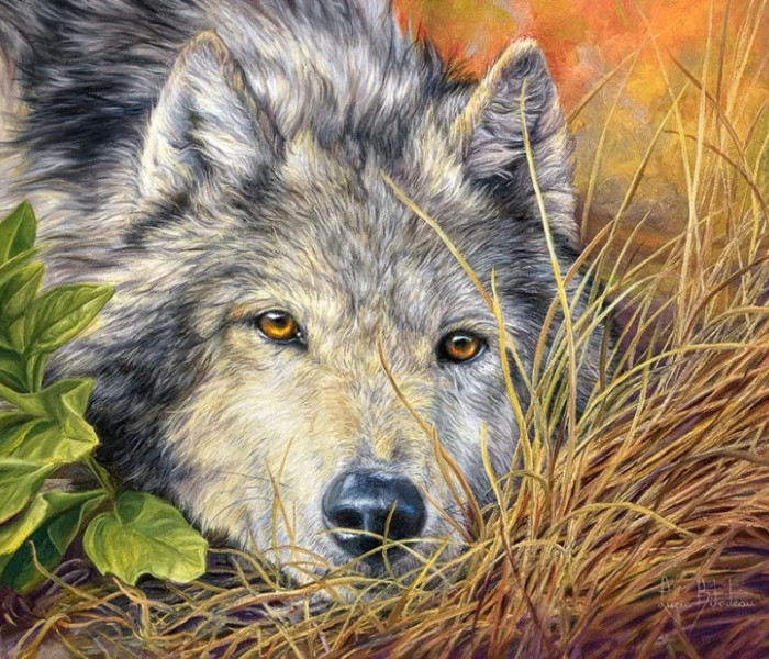 Puzzle - Castorland - Tiszta lélek