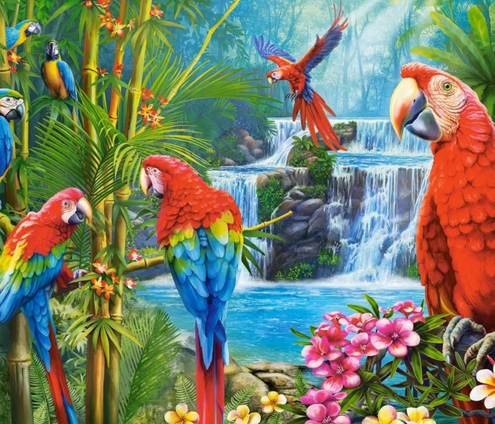 Puzzle - Castorland - Papagáj Találkozó
