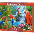 Puzzle - Castorland - Papagáj Találkozó
