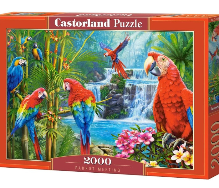 Puzzle - Castorland - Papagáj Találkozó