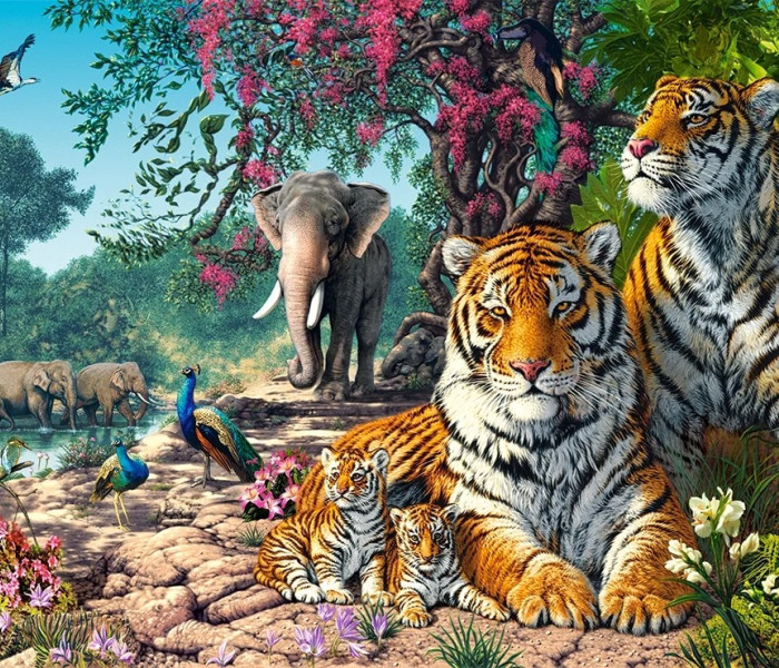 Puzzle - Castorland - Tigrisrezervátum