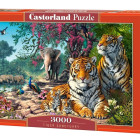 Puzzle - Castorland - Tigrisrezervátum