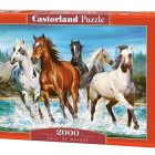 Puzzle - Castorland - A természet hívása