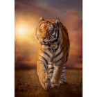Puzzle - Clementoni - Tigris