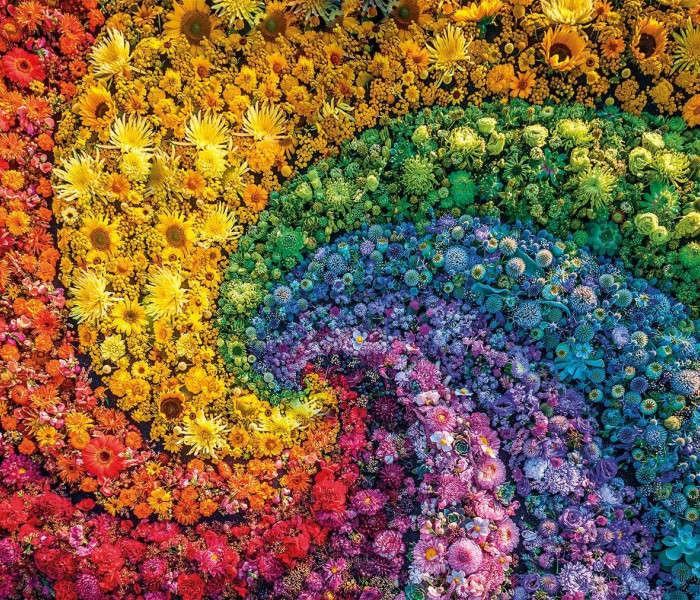 Puzzle - Clementoni - ColorBoom: Örvény