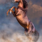 Puzzle - Clementoni - Nagy vörös mén