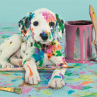 Puzzle - Clementoni - Vicces dalmát