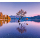 Puzzle - Clementoni - Wanaka-tó, Új-Zéland - Panoramatikus Puzzle