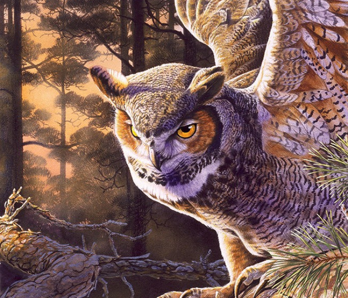 Puzzle - Cobble Hill - Esti vadász