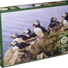 Puzzle - Cobble Hill - Tiszta nap