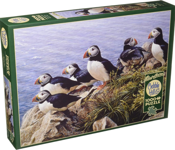 Puzzle - Cobble Hill - Tiszta nap