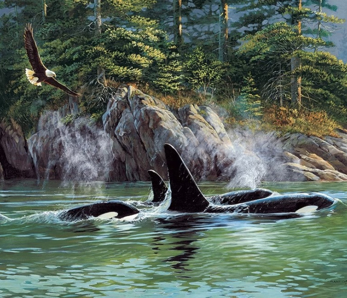 Puzzle - Cobble Hill - Gyilkos bálnák