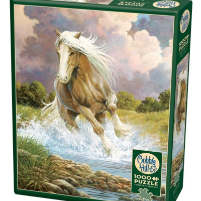 Ló fut át ​​a folyón