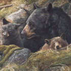 Puzzle - Cobble Hill - Dupla szerelem