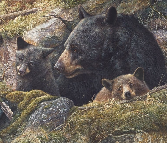 Puzzle - Cobble Hill - Dupla szerelem