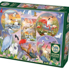 Puzzle - Cobble Hill - Bájos vízimadarak