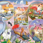 Puzzle - Cobble Hill - Bájos vízimadarak