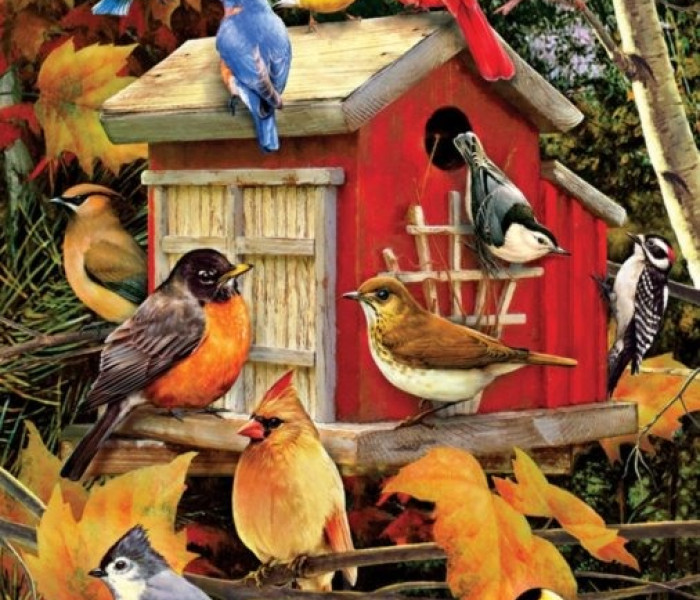 Puzzle - Cobble Hill - Madárház ősszel