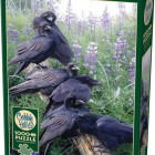 Puzzle - Cobble Hill - Ravens találkozó