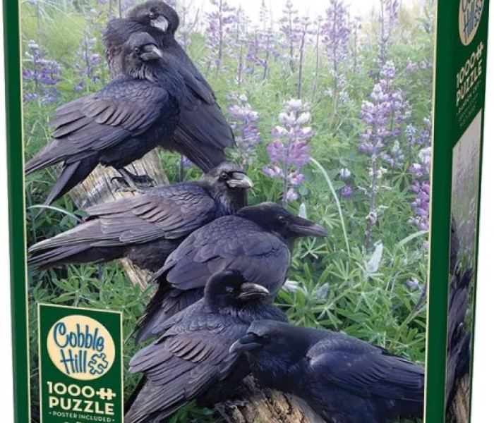 Puzzle - Cobble Hill - Ravens találkozó