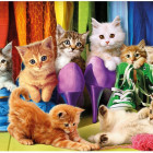 Puzzle - Dino - Színes kiscicák