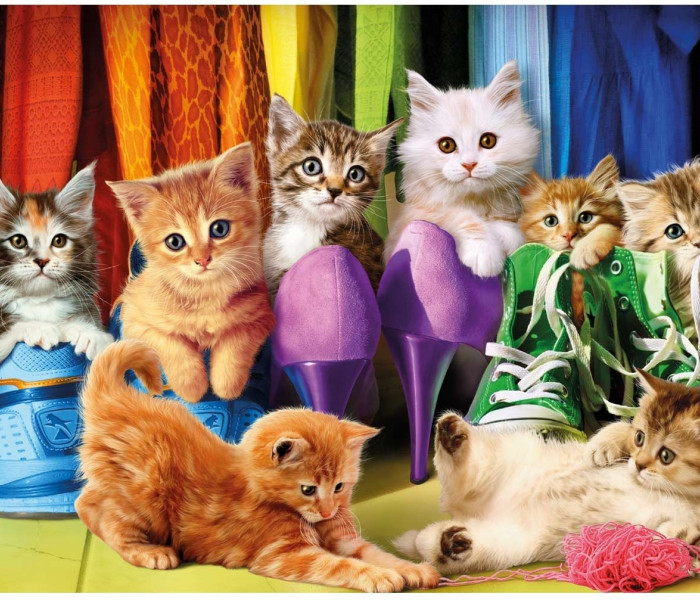 Puzzle - Dino - Színes kiscicák