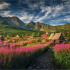 Puzzle - Dino - Gaseinic-völgy