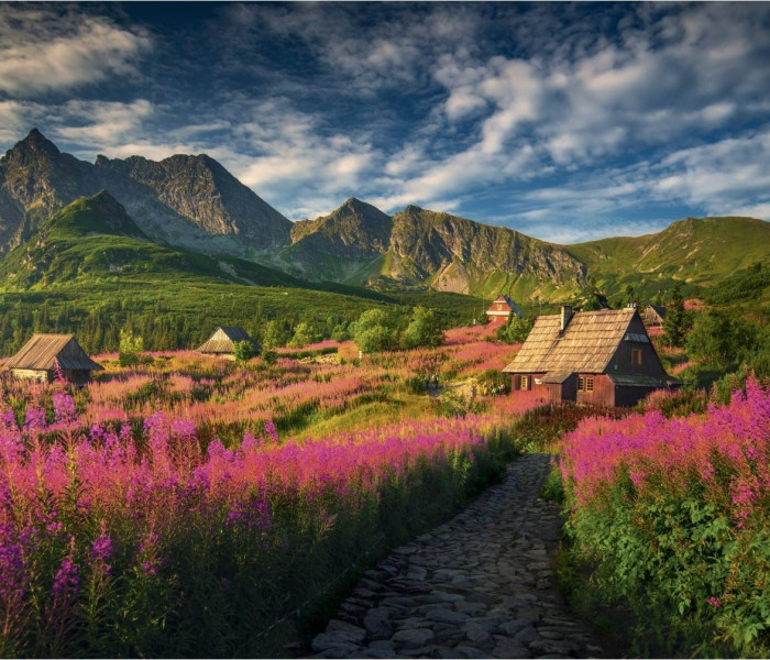 Puzzle - Dino - Gaseinic-völgy