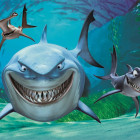 Puzzle - Dino - Némó nyomában